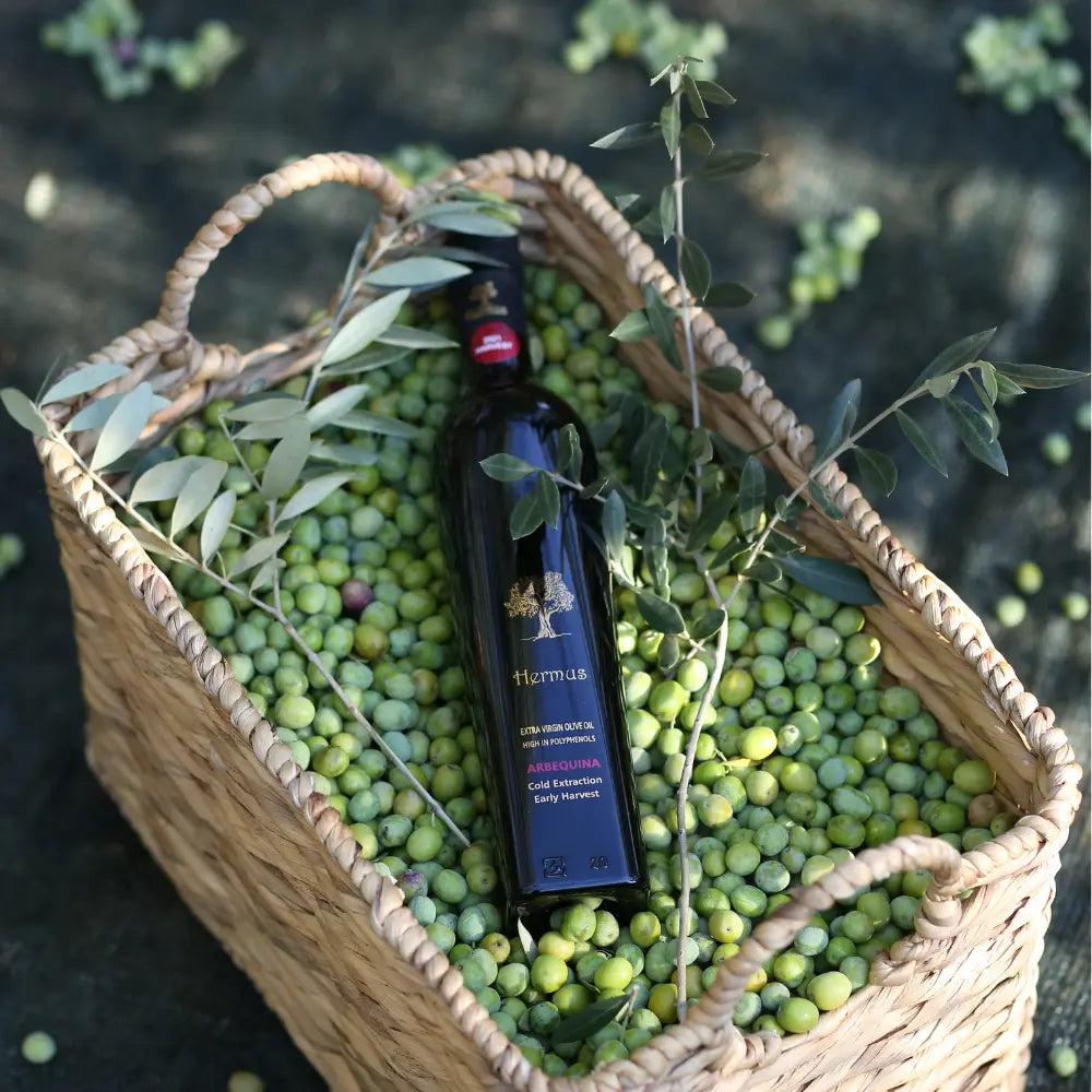 Hermus-Arbequina Hermus
