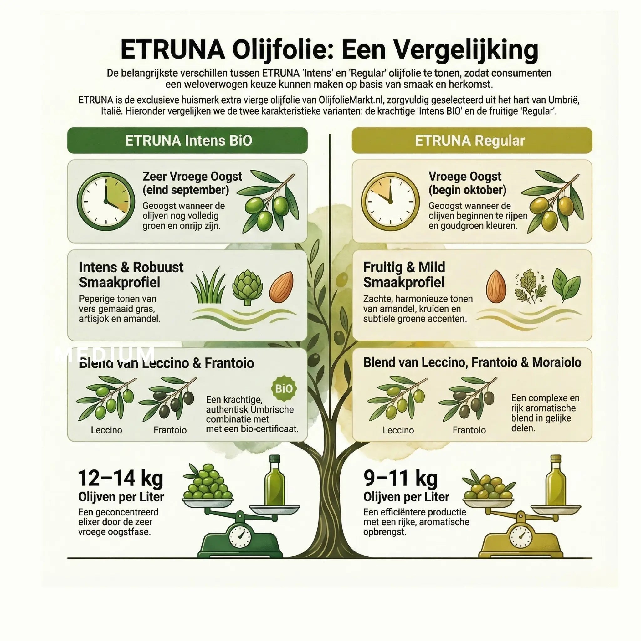 Etruna Regular